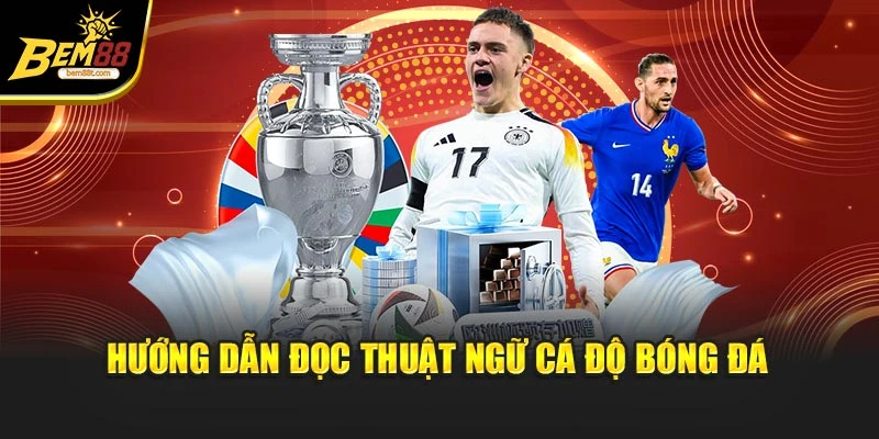 Hướng dẫn đọc thuật ngữ cá độ bóng đá